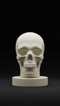 Bone White Minimalist Skull Cover